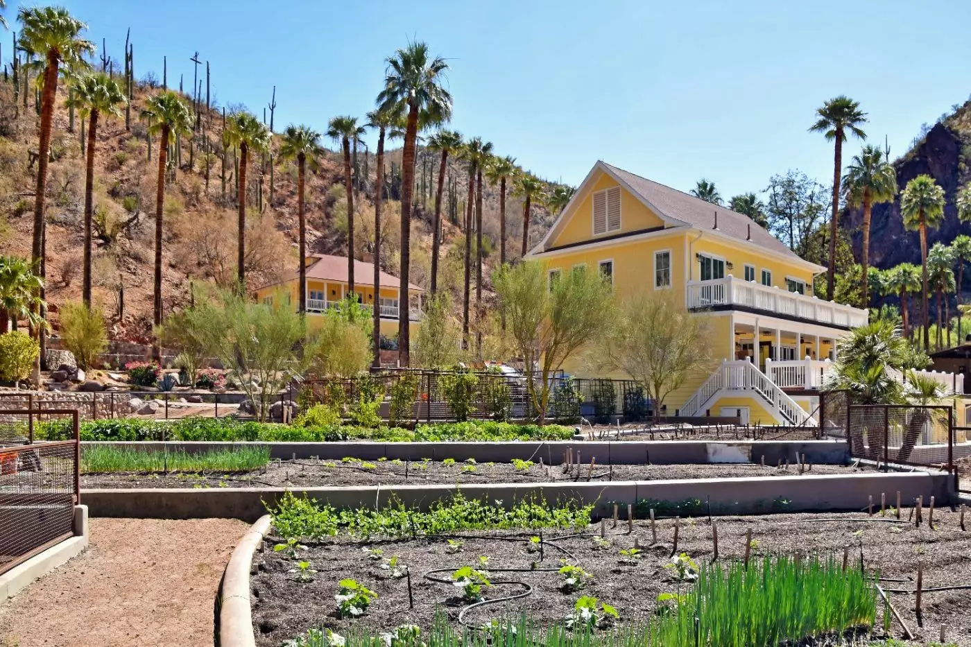 Castle Hot Springs