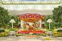 Thumbnail Encore Boston Harbor