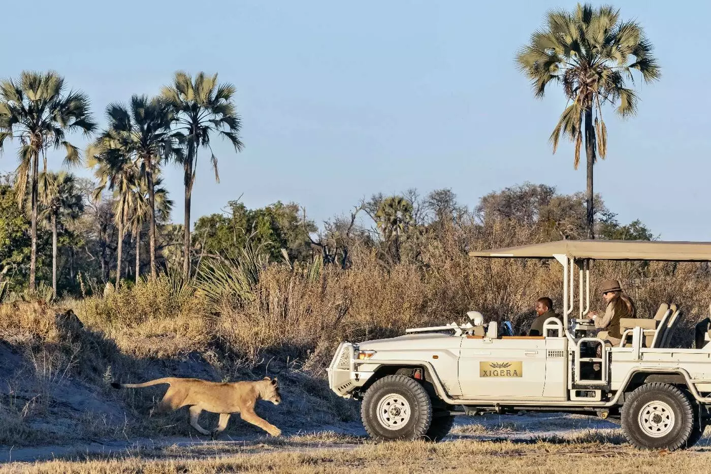 Xigera Safari Lodge