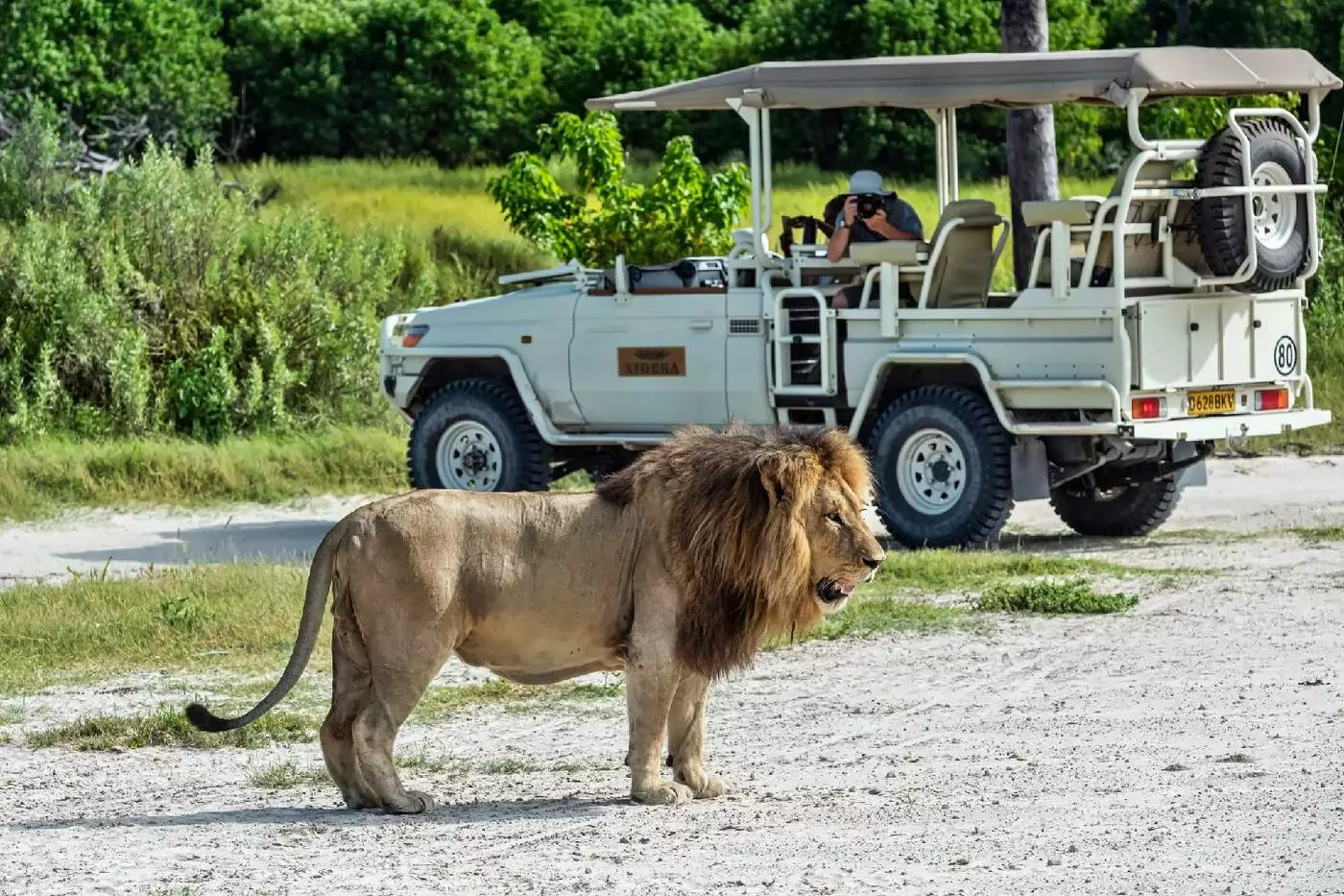 Xigera Safari Lodge