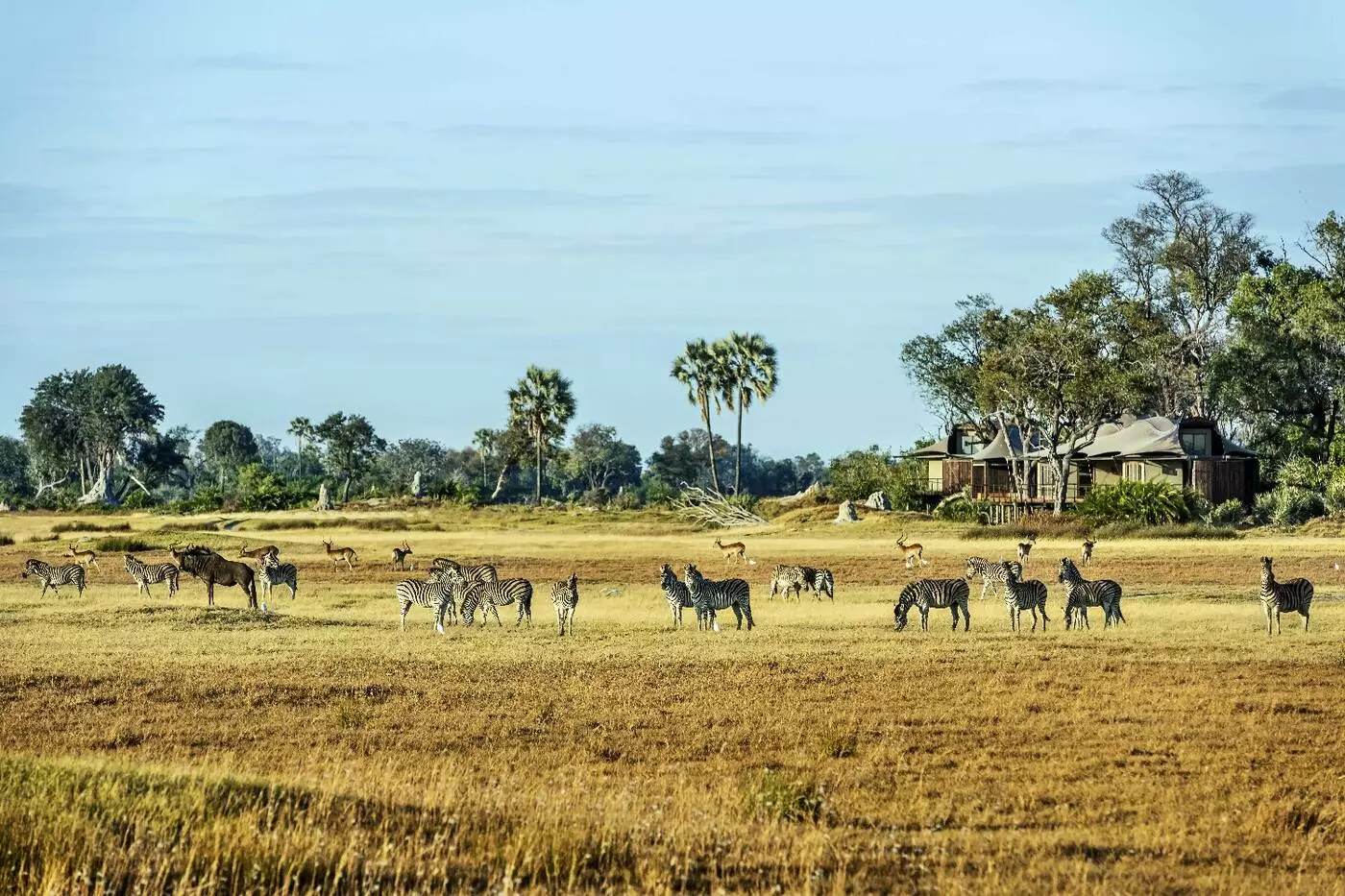 Xigera Safari Lodge
