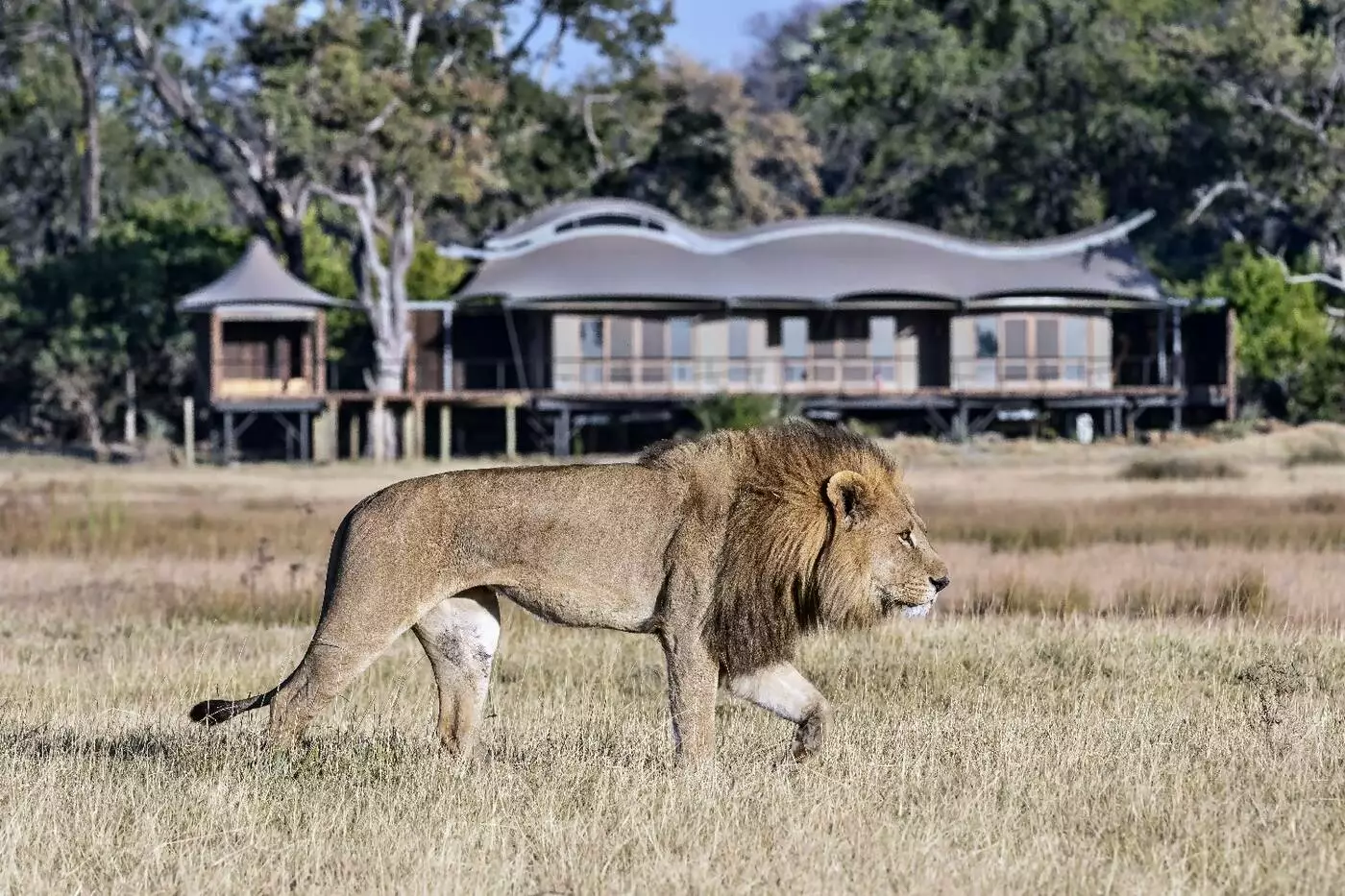 Xigera Safari Lodge