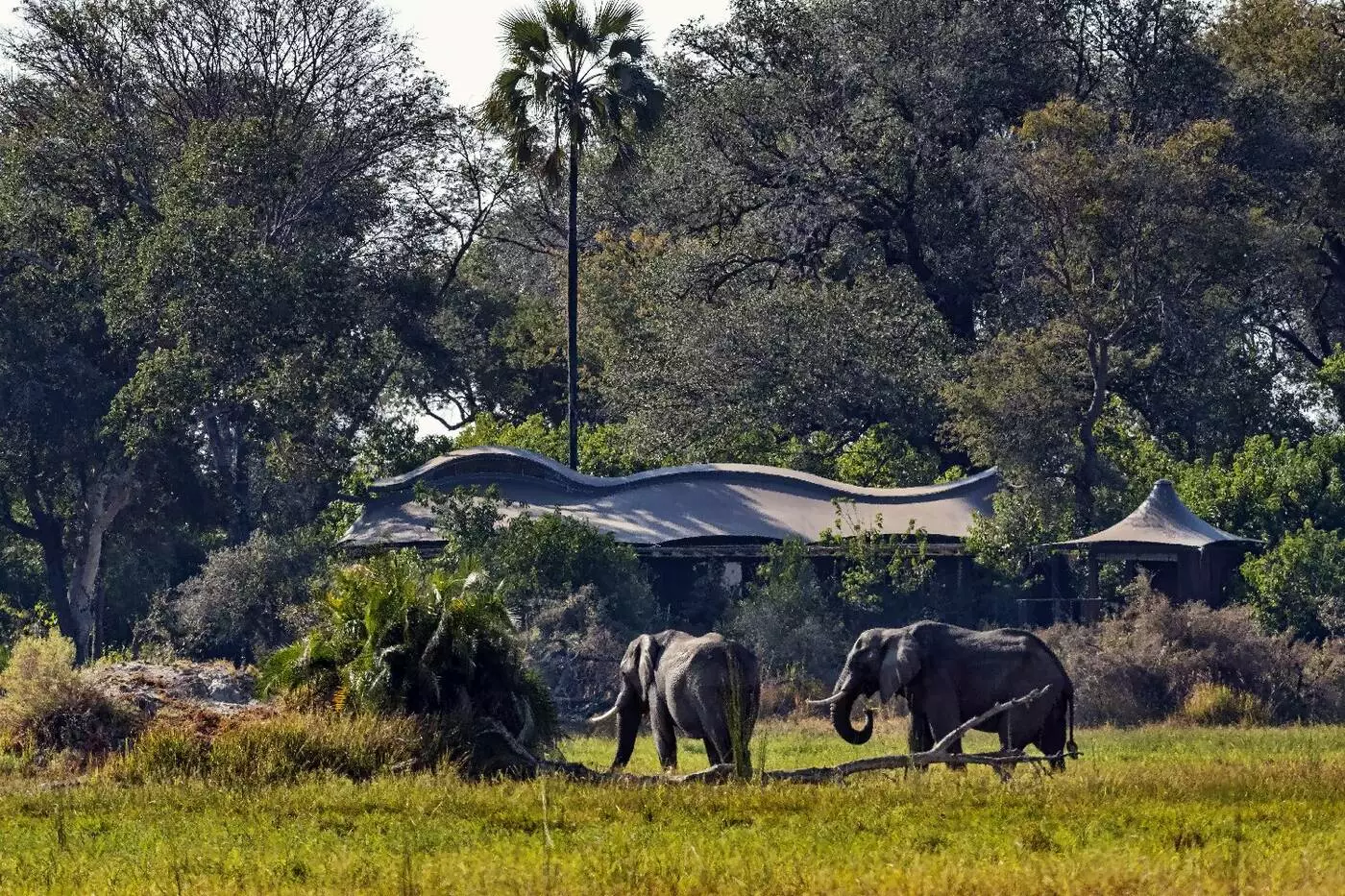 Xigera Safari Lodge