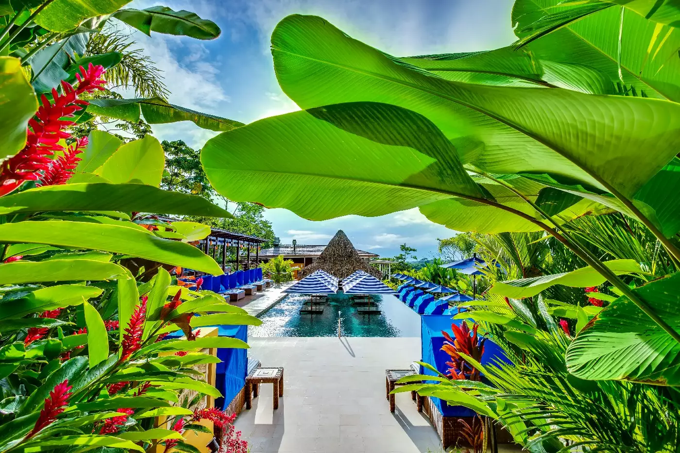 Nayara Springs Hotel