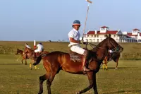 Thumbnail Estancia Vik Jose Ignacio