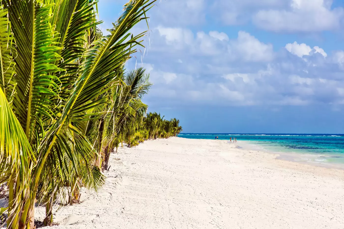 Chable Maroma