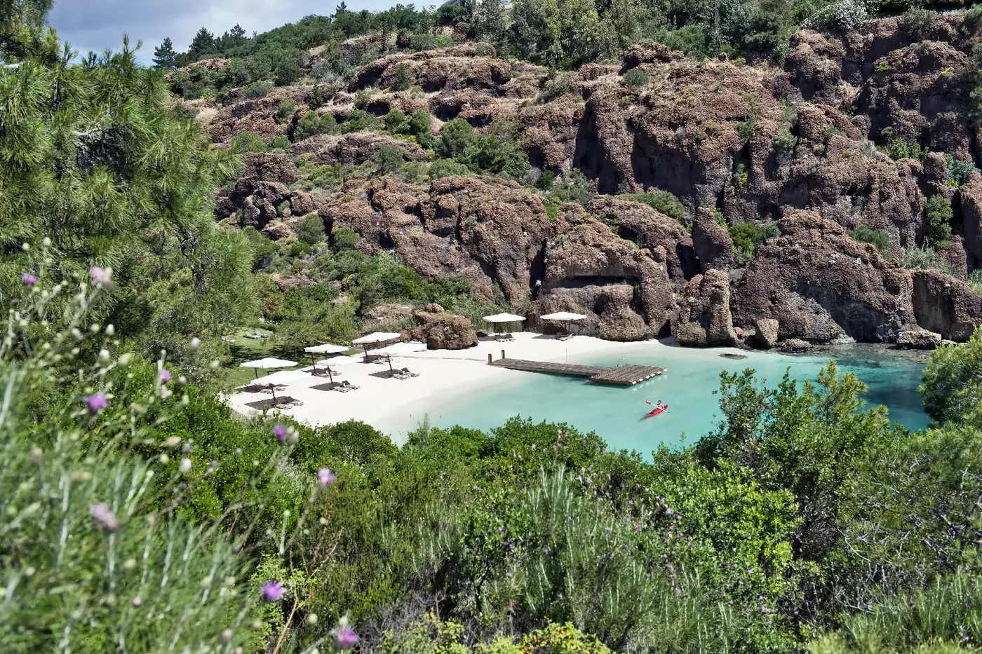 D Maris Bay
