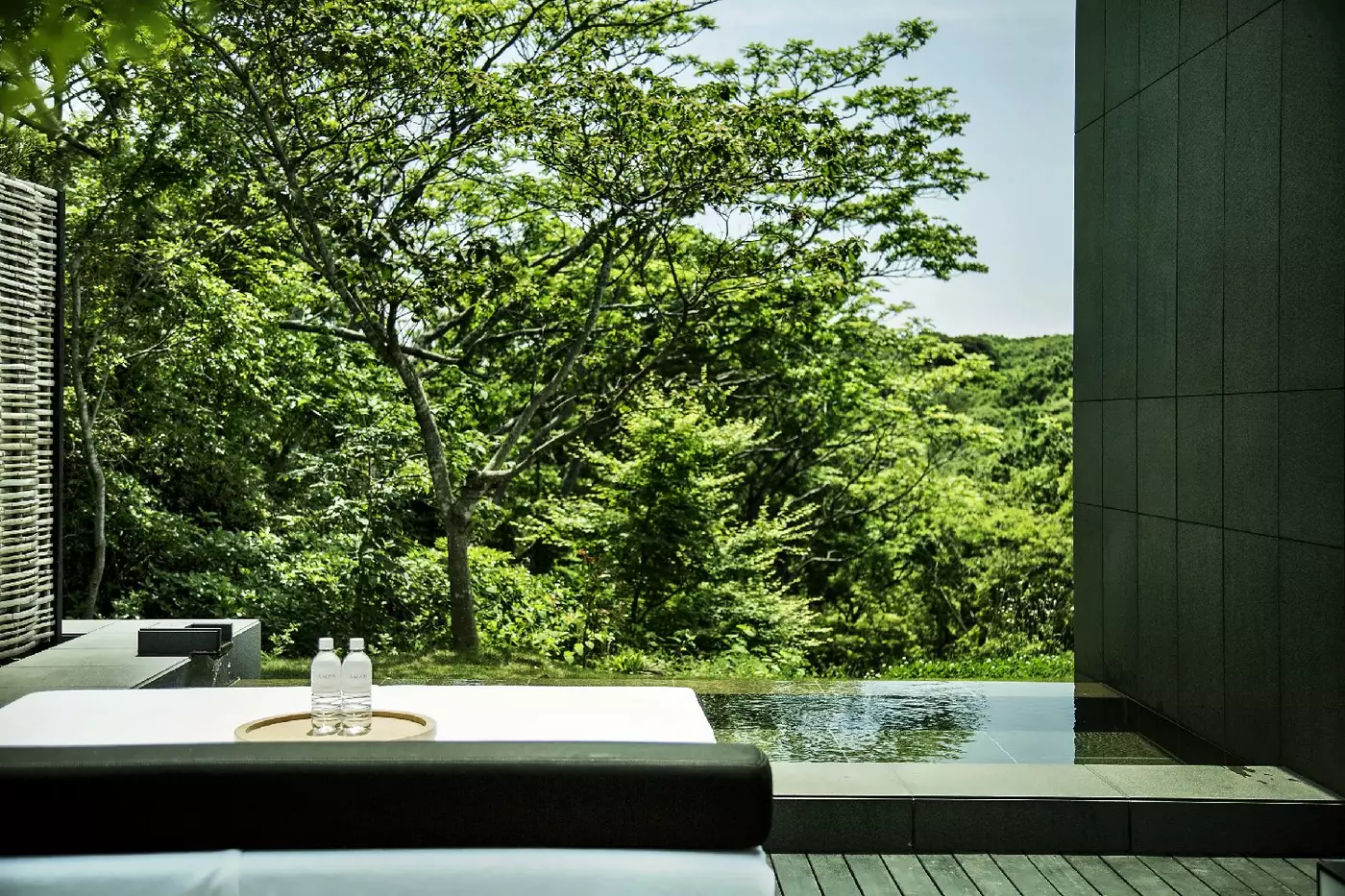Amanemu