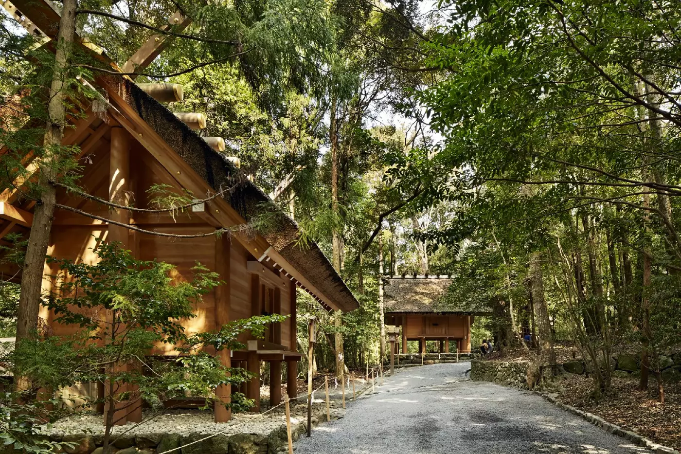 Amanemu