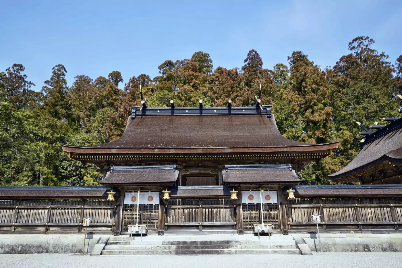 Amanemu