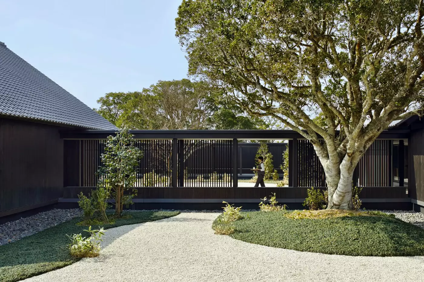 Amanemu