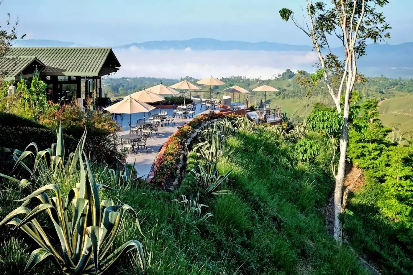 Hacienda AltaGracia
