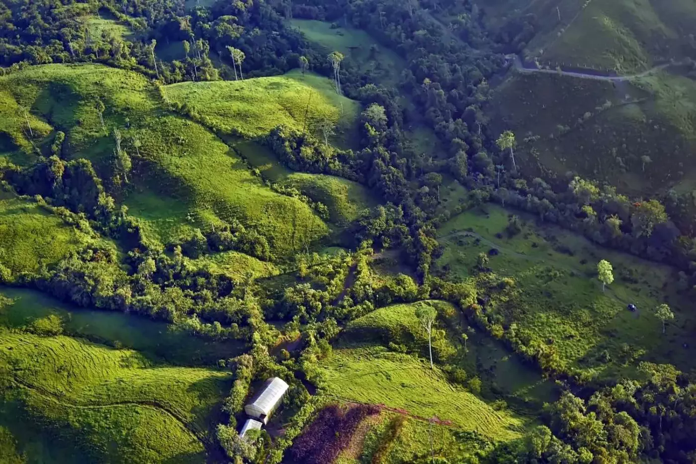 Hacienda AltaGracia