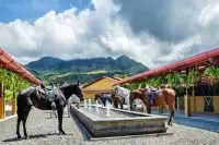 Thumbnail Hacienda AltaGracia