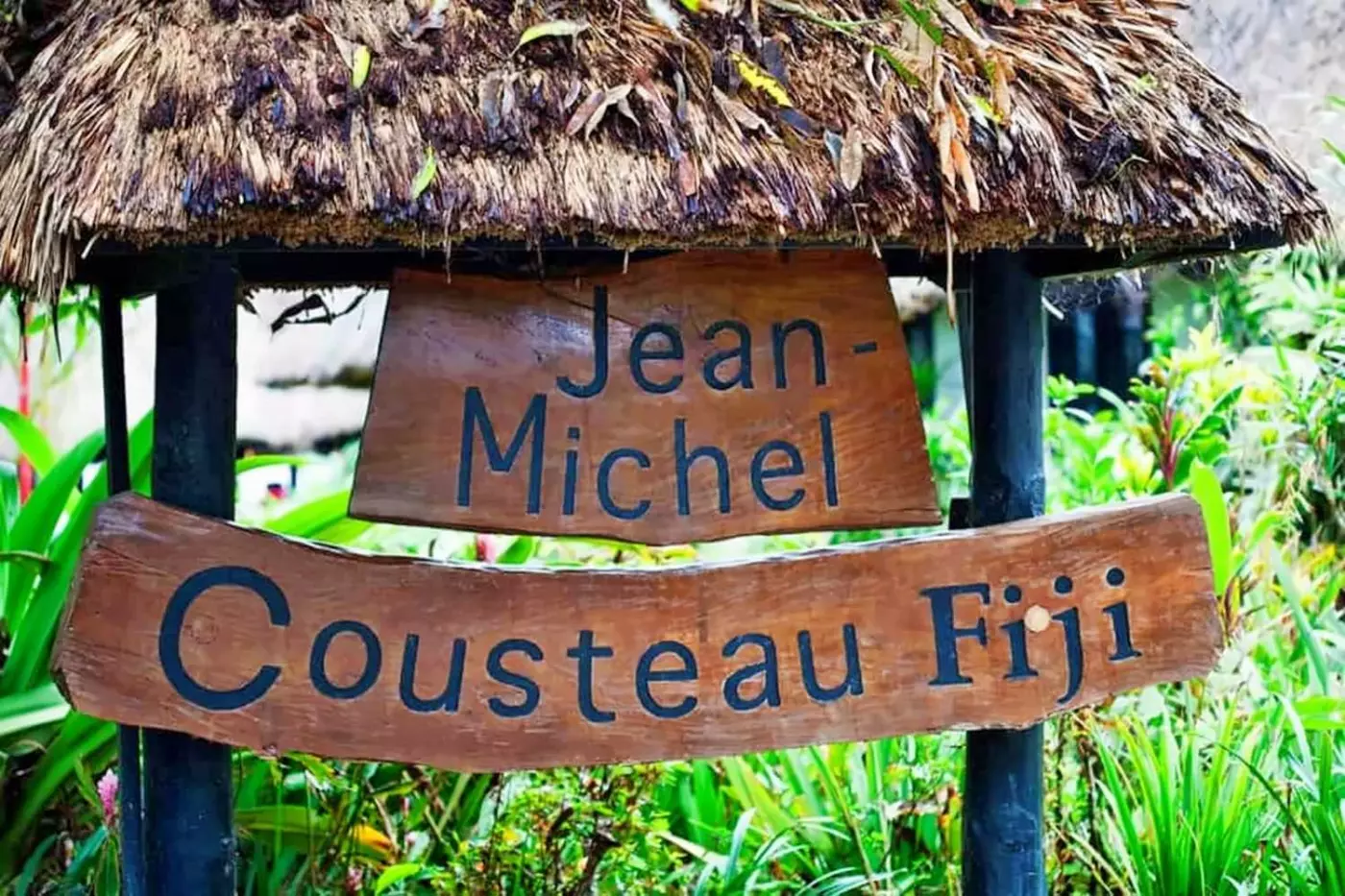Jean-Michel Cousteau Resort Fiji