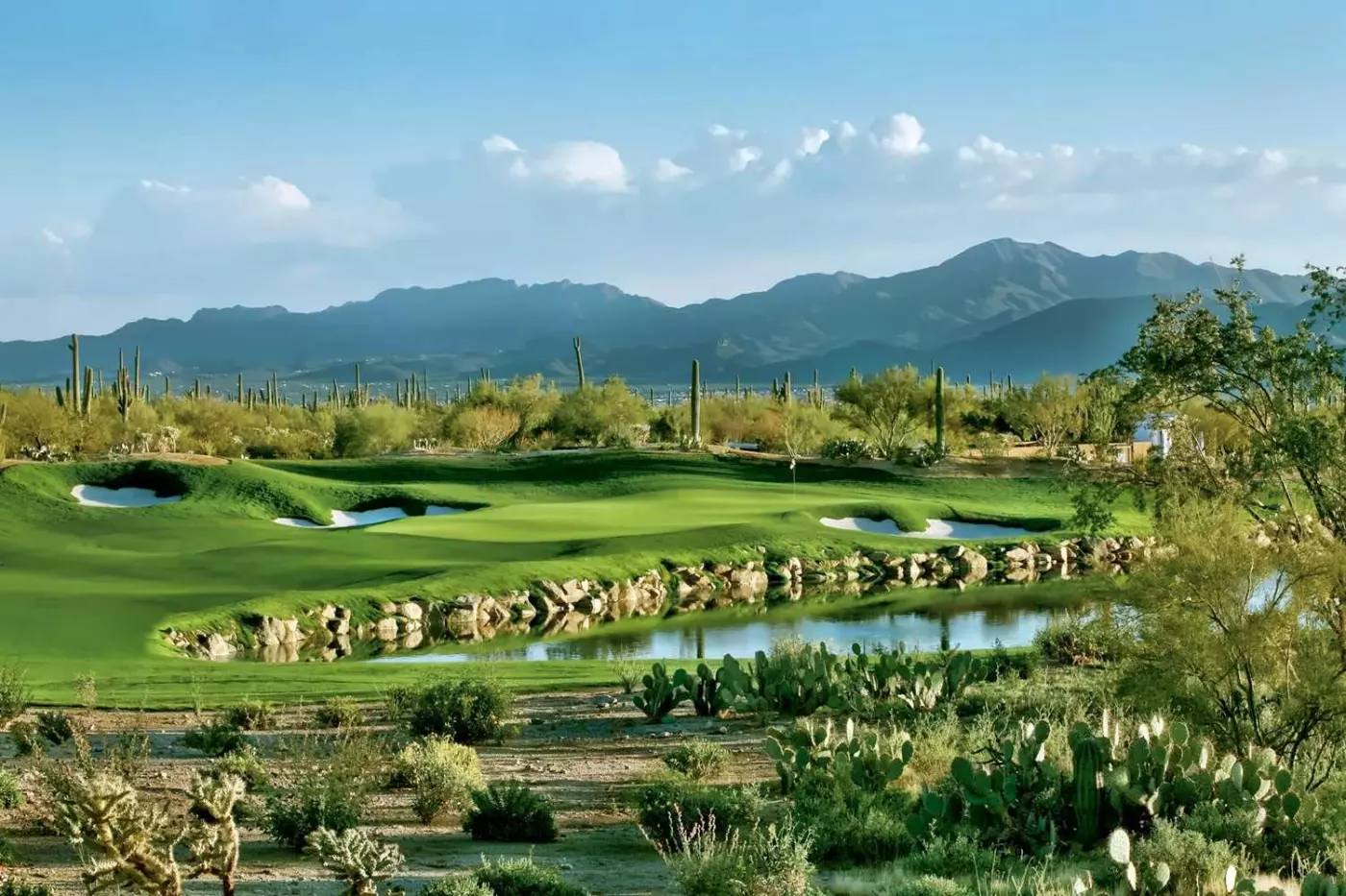 The Ritz-Carlton, Dove Mountain