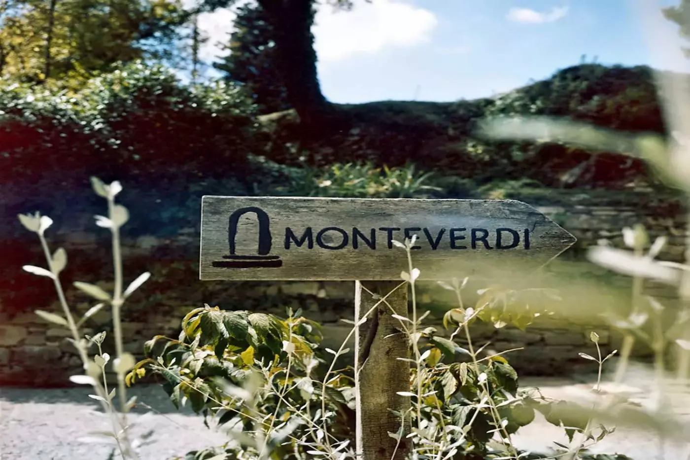 Monteverdi Tuscany