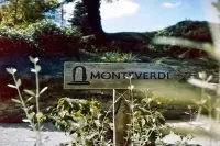 Thumbnail Monteverdi Tuscany