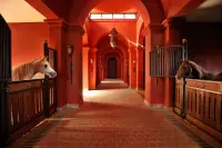 Thumbnail Selman Marrakech