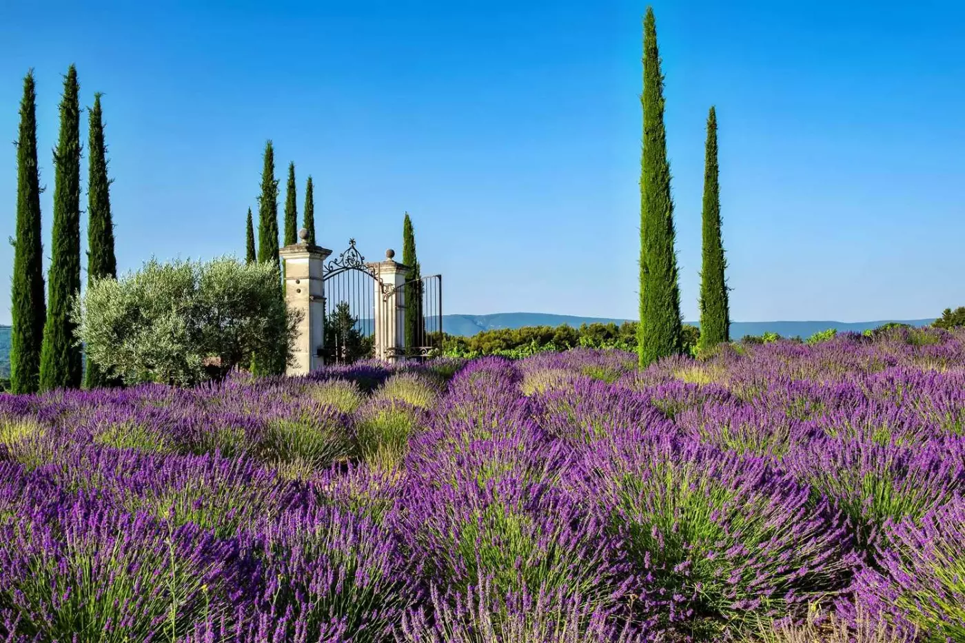 Coquillade Provence Resort & Spa