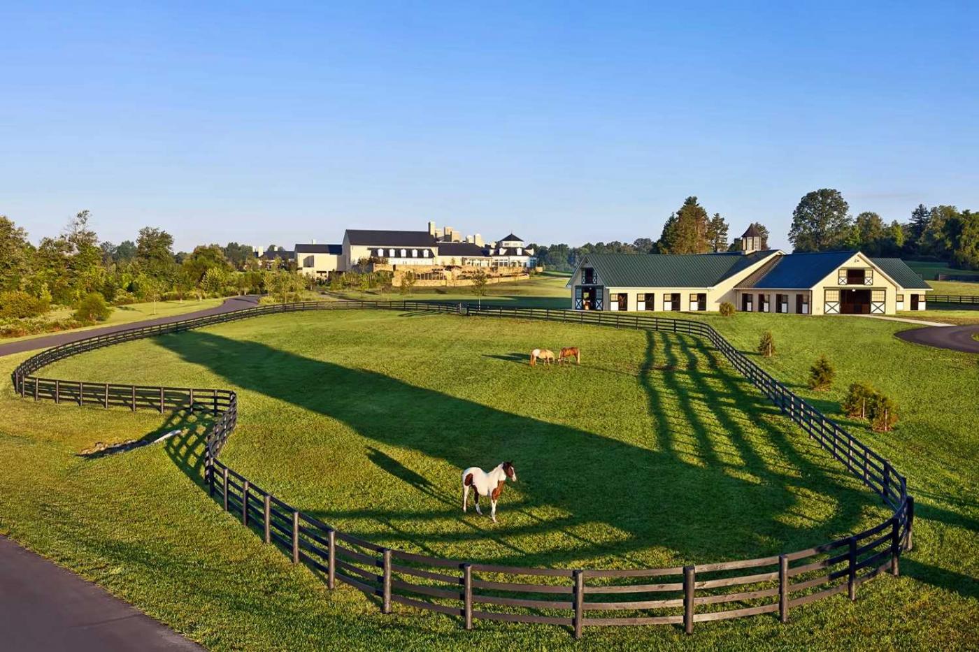 Salamander Resort