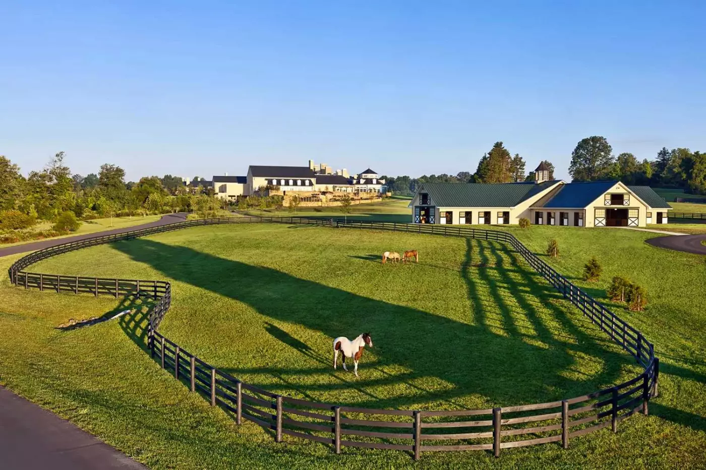 Salamander Resort