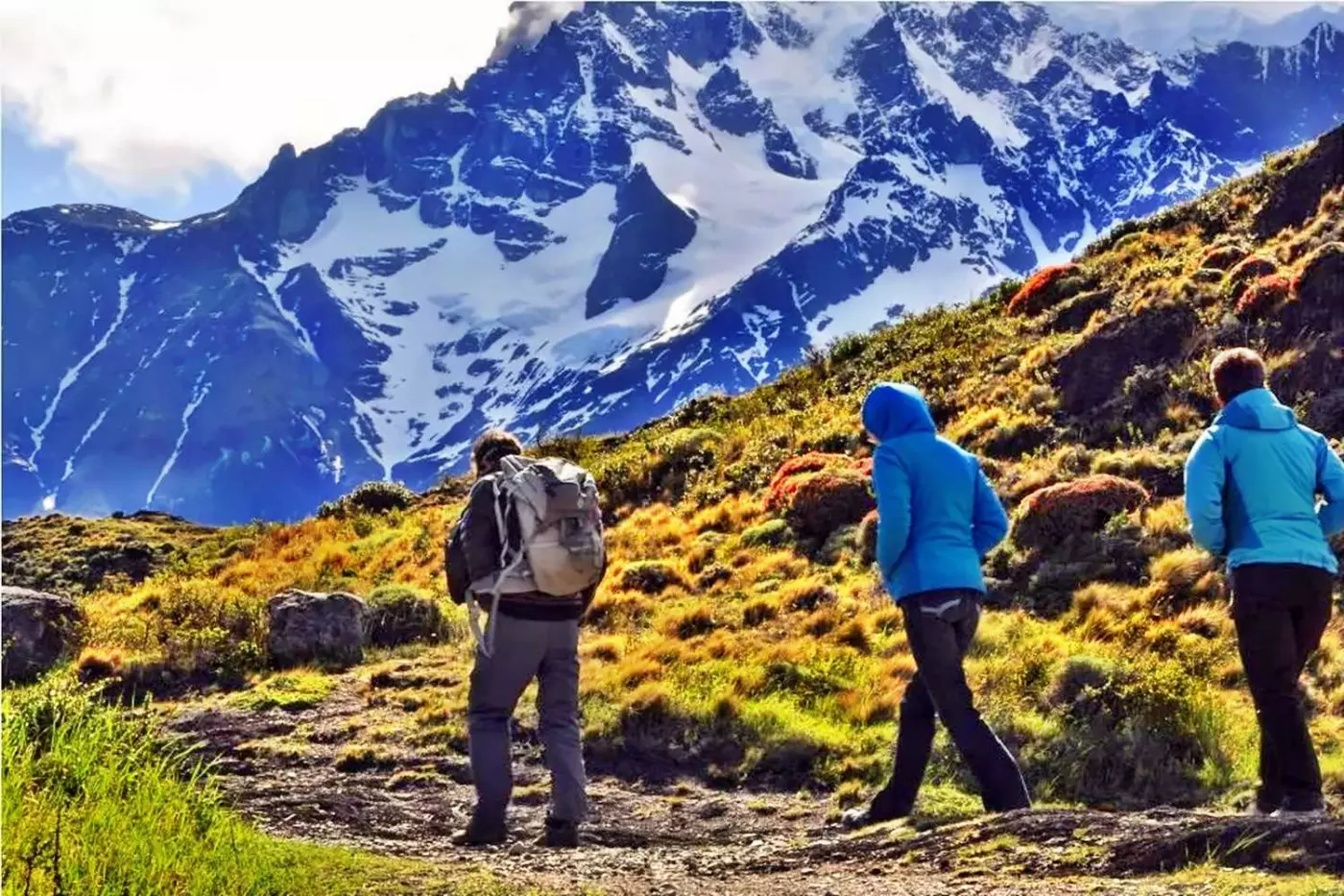 The Singular Patagonia