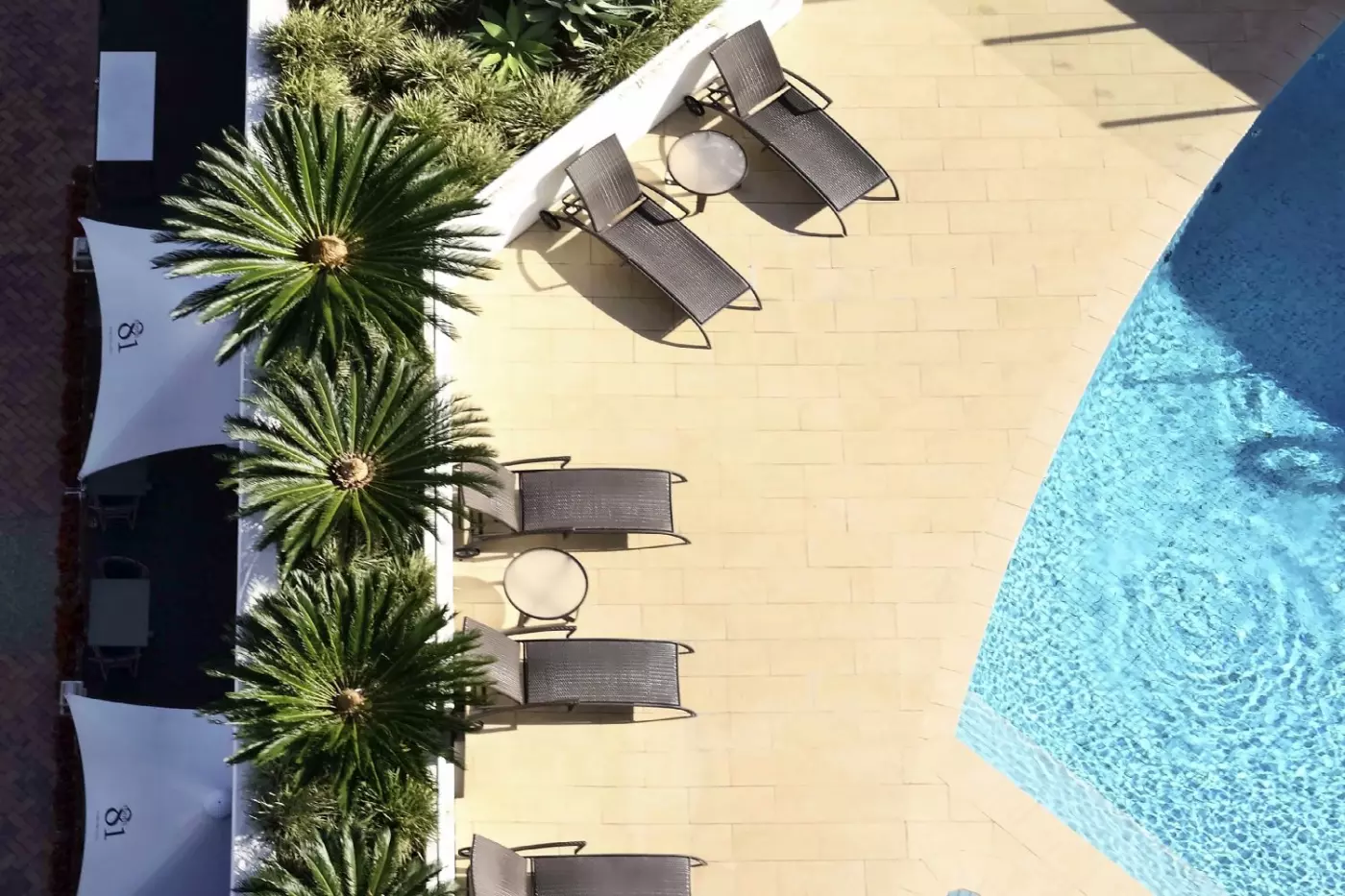 Sofitel Gold Coast Broadbeach