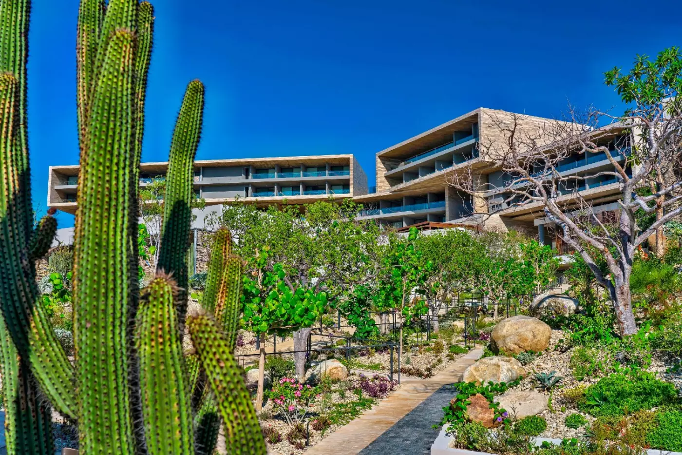 Solaz Los Cabos
