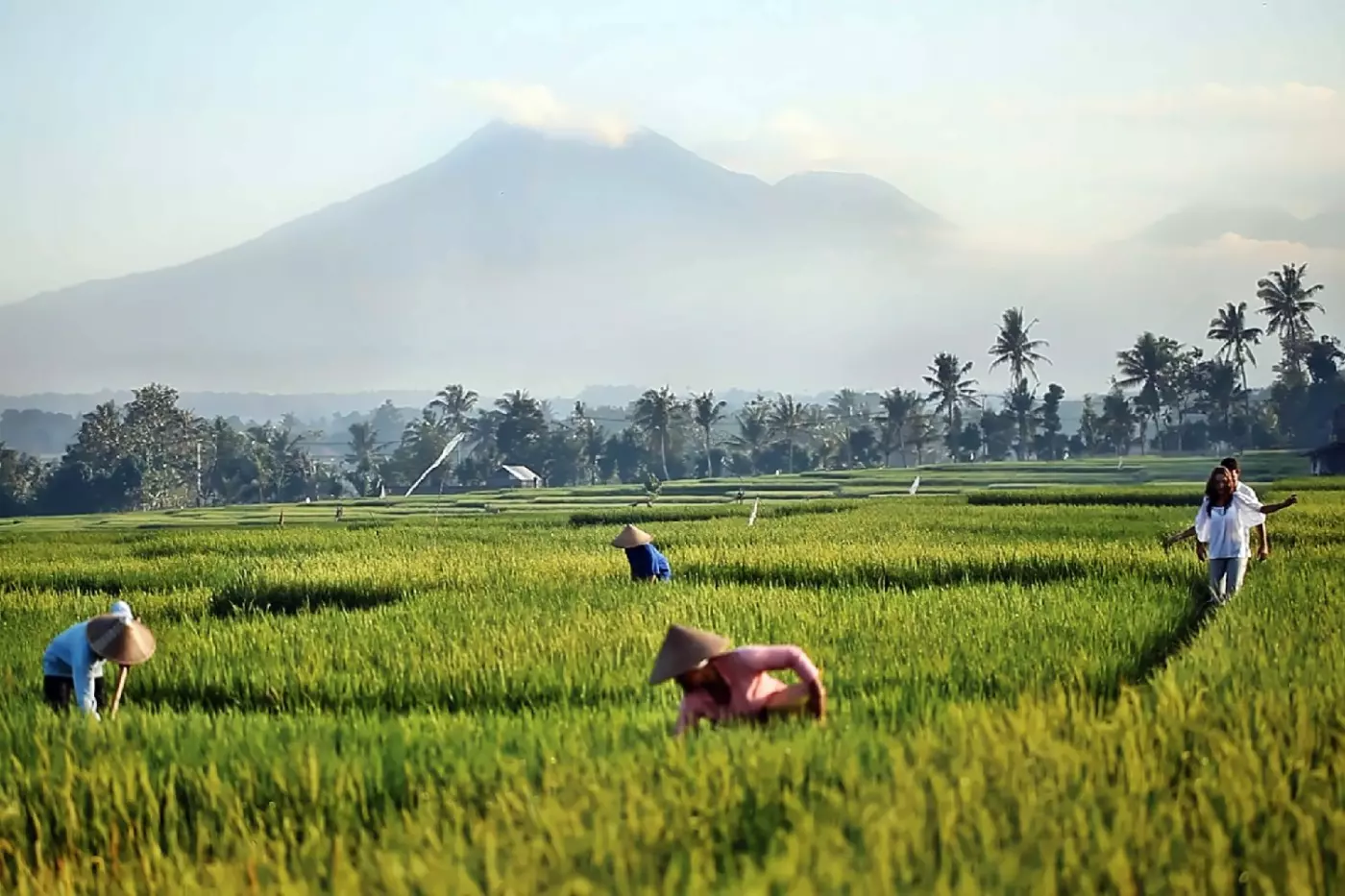 Soori Bali