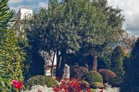 Thumbnail Villa Margherita, A Belmond Hotel, Ravello