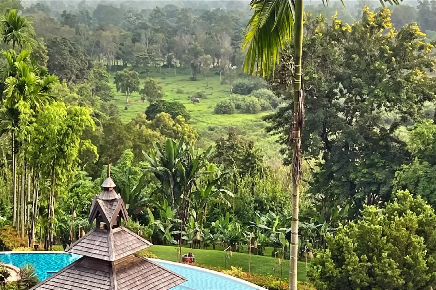 Anantara Golden Triangle Elephant Camp & Resort