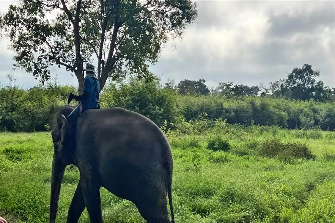 Anantara Golden Triangle Elephant Camp & Resort