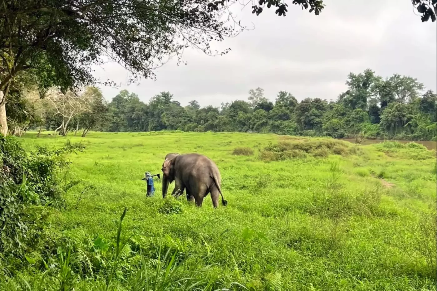 Anantara Golden Triangle Elephant Camp & Resort