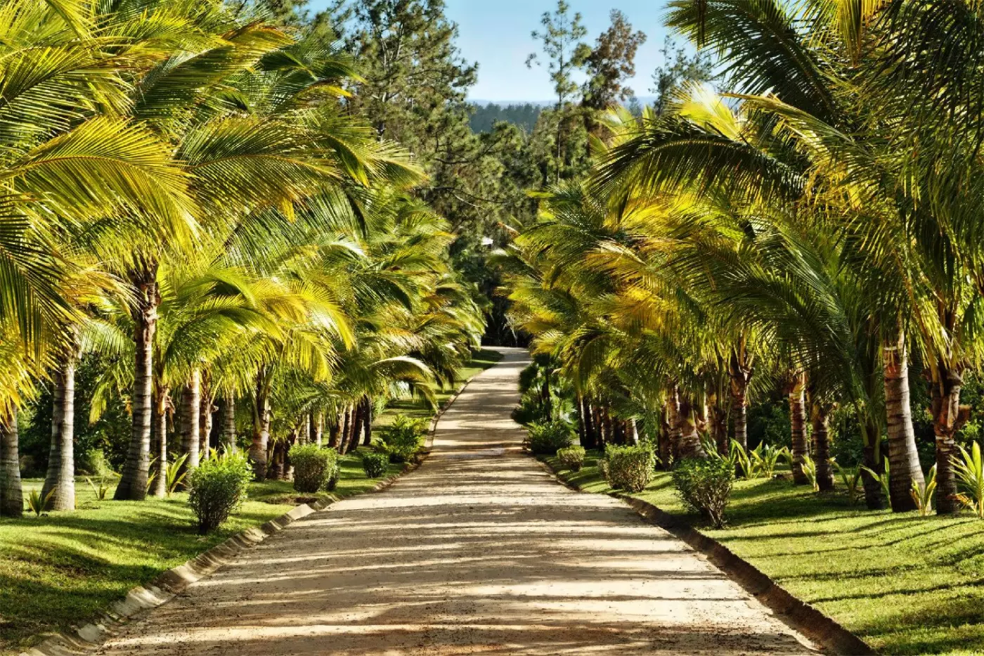 Blancaneaux Lodge