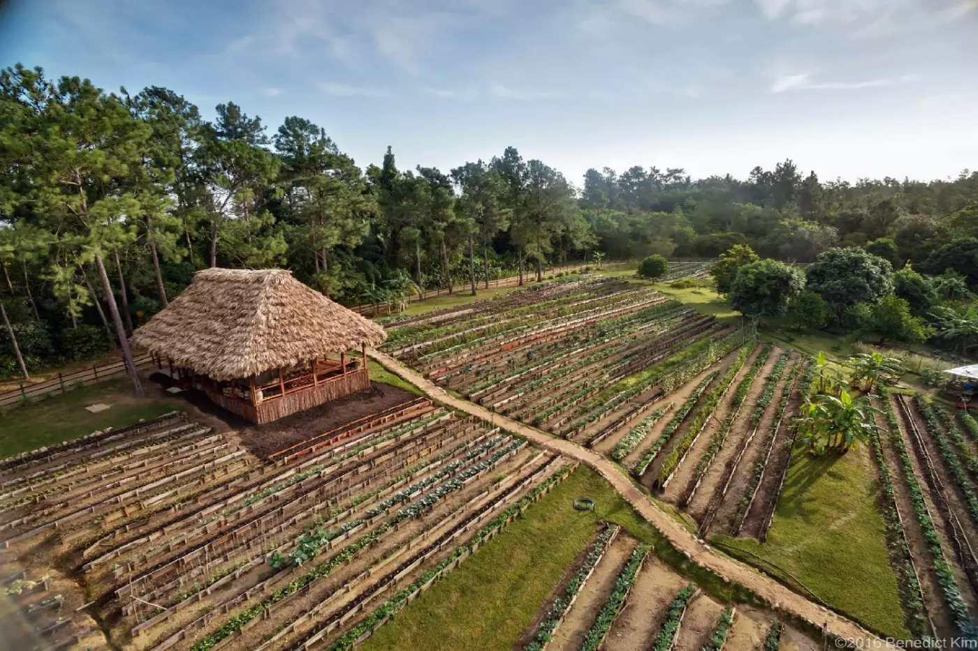 Blancaneaux Lodge