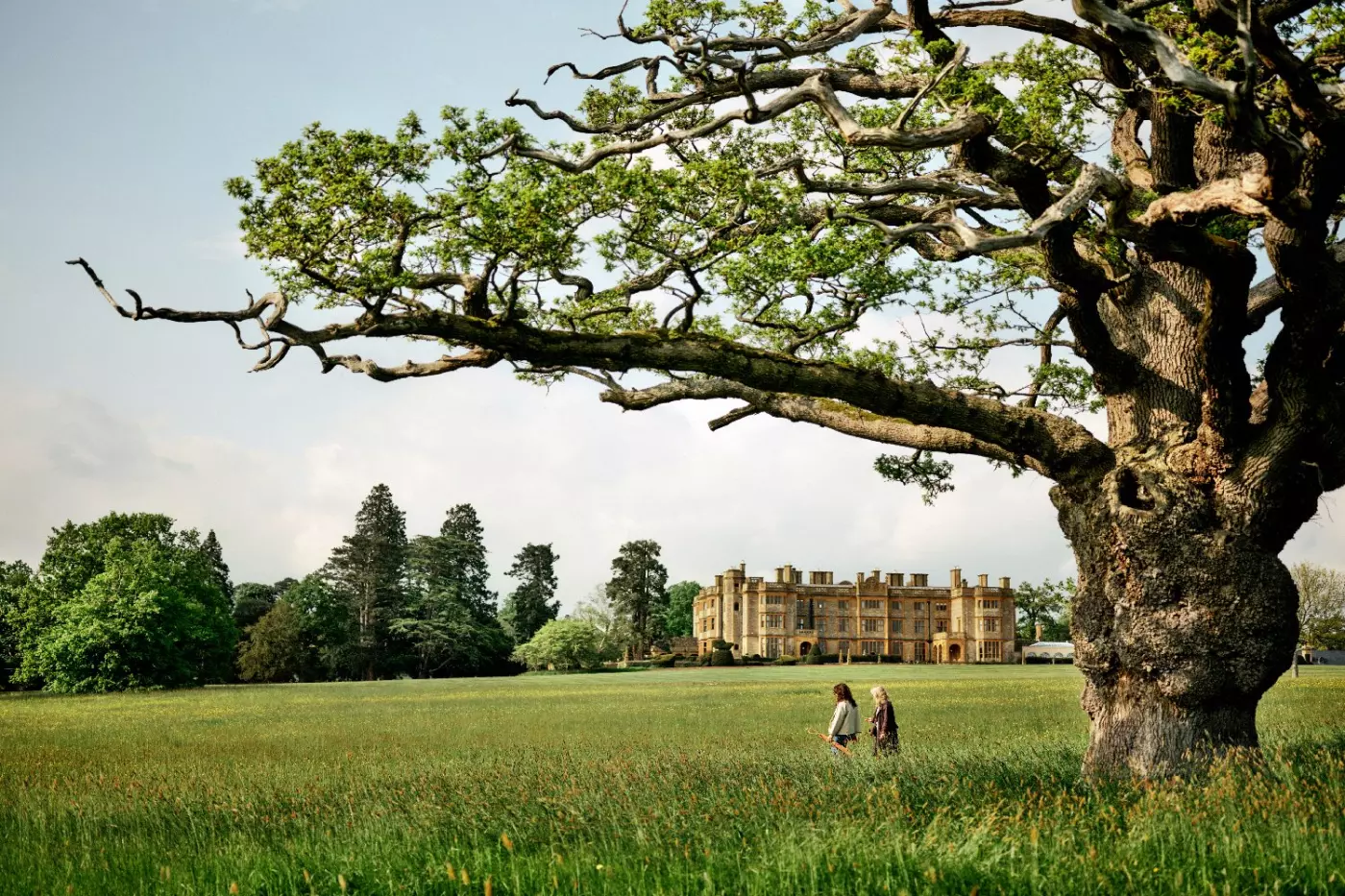 Estelle Manor