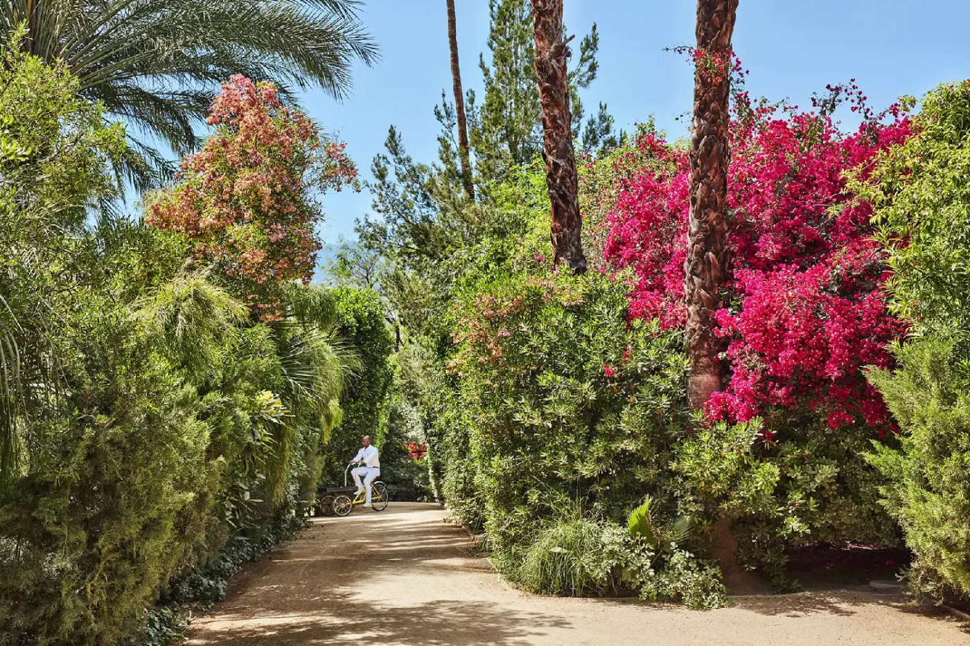 Parker Palm Springs