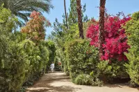 Thumbnail Parker Palm Springs