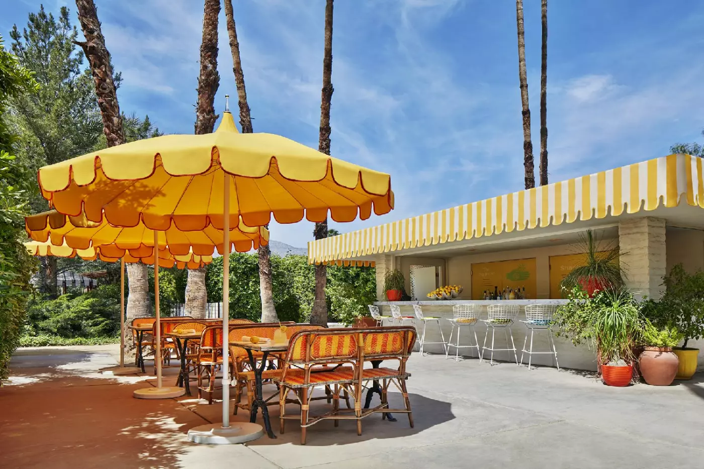 Parker Palm Springs