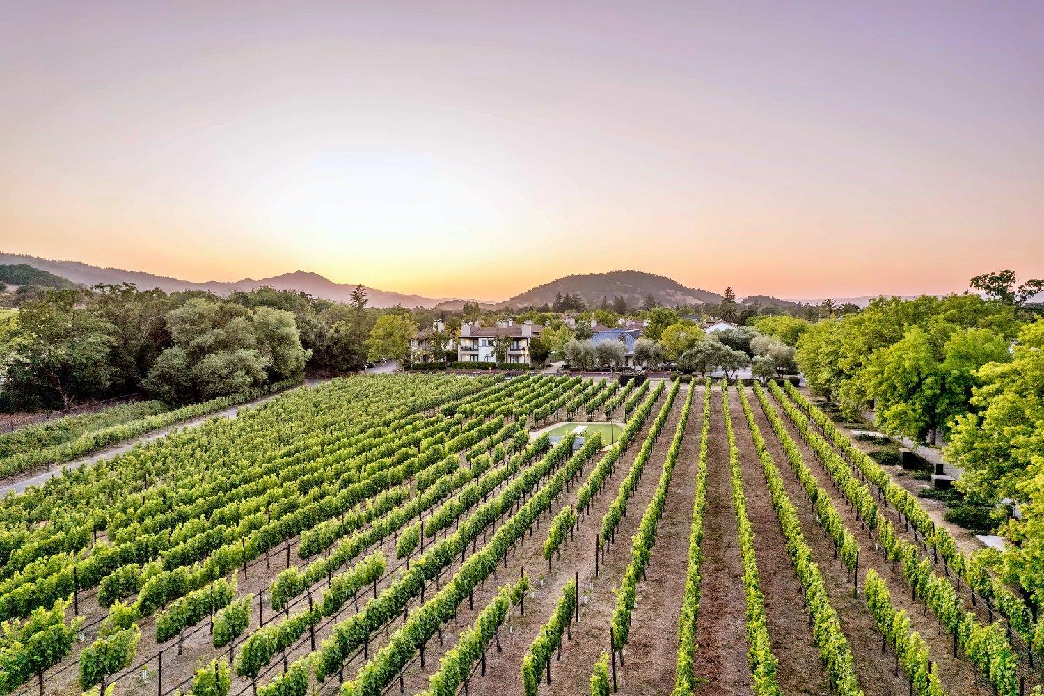 The Estate Yountville