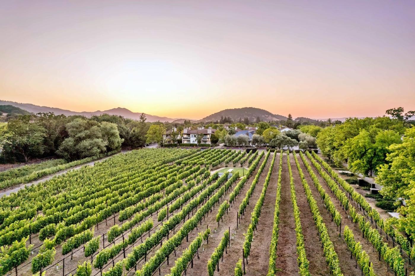 The Estate Yountville