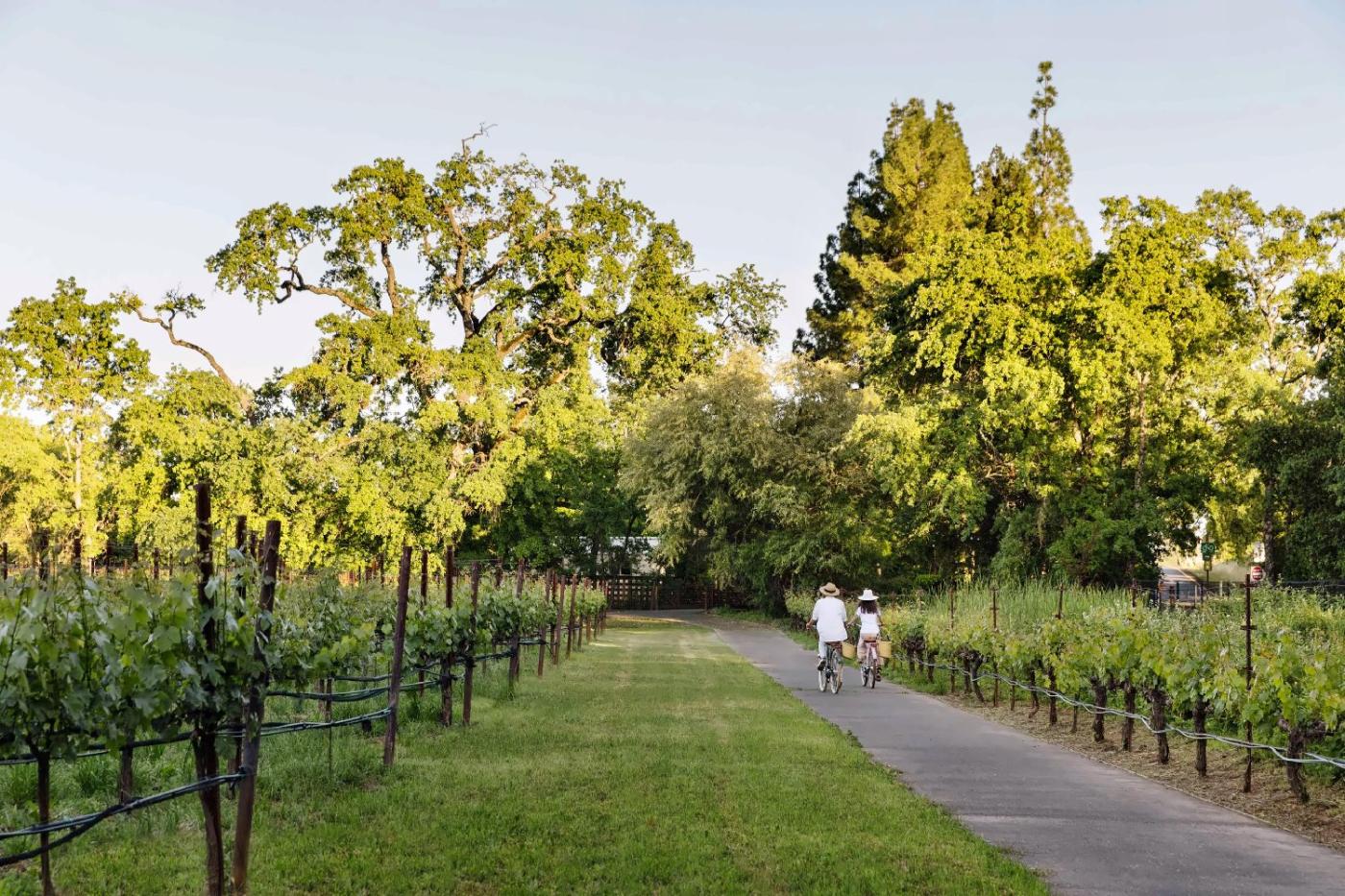 The Estate Yountville