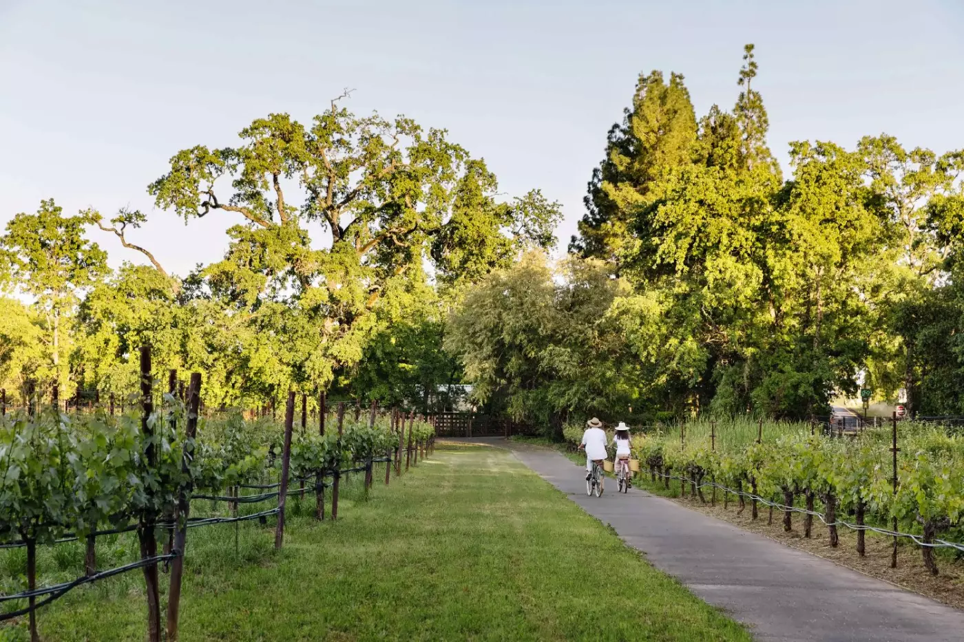 The Estate Yountville