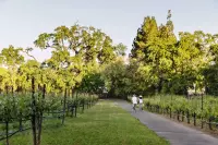 Thumbnail The Estate Yountville