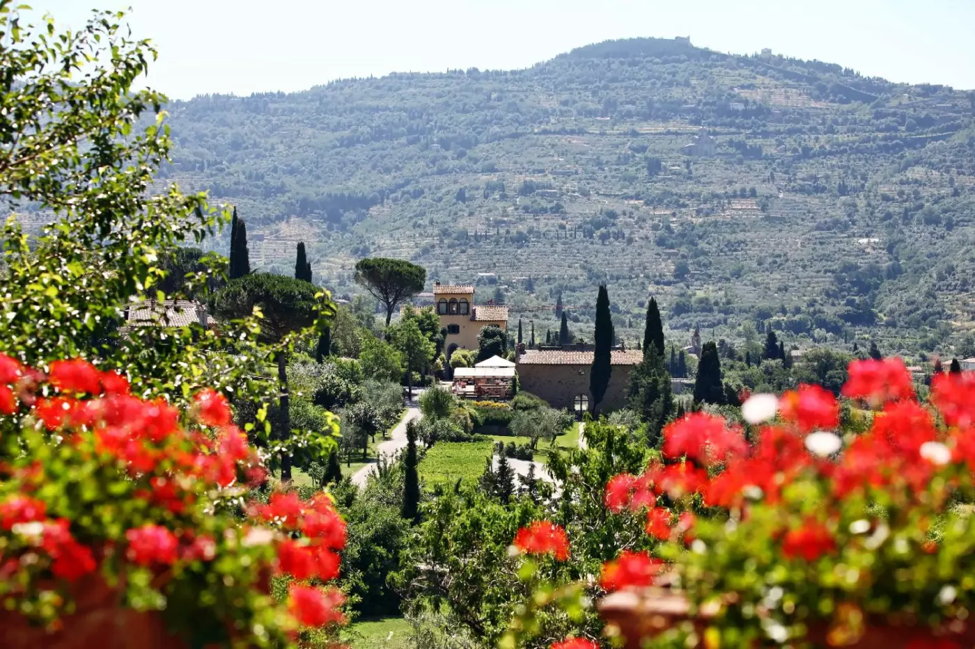 Il Falconiere