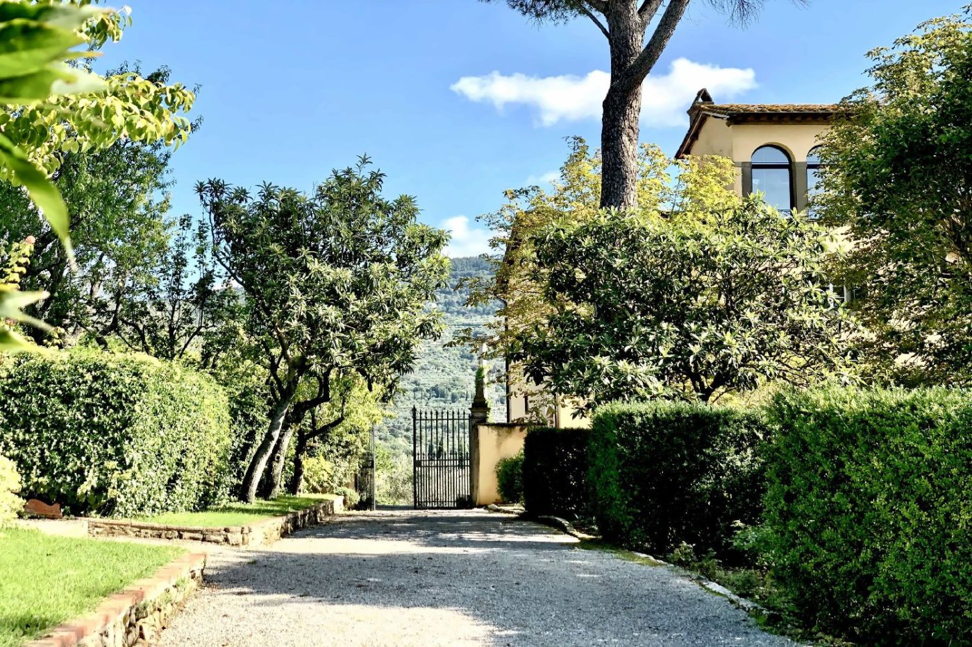 Il Falconiere