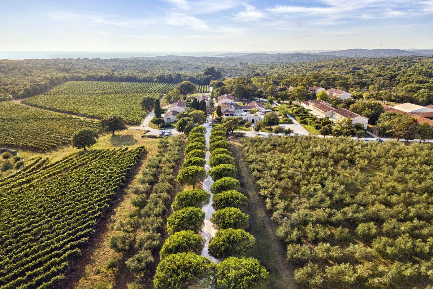 Meneghetti Wine Hotel & Winery