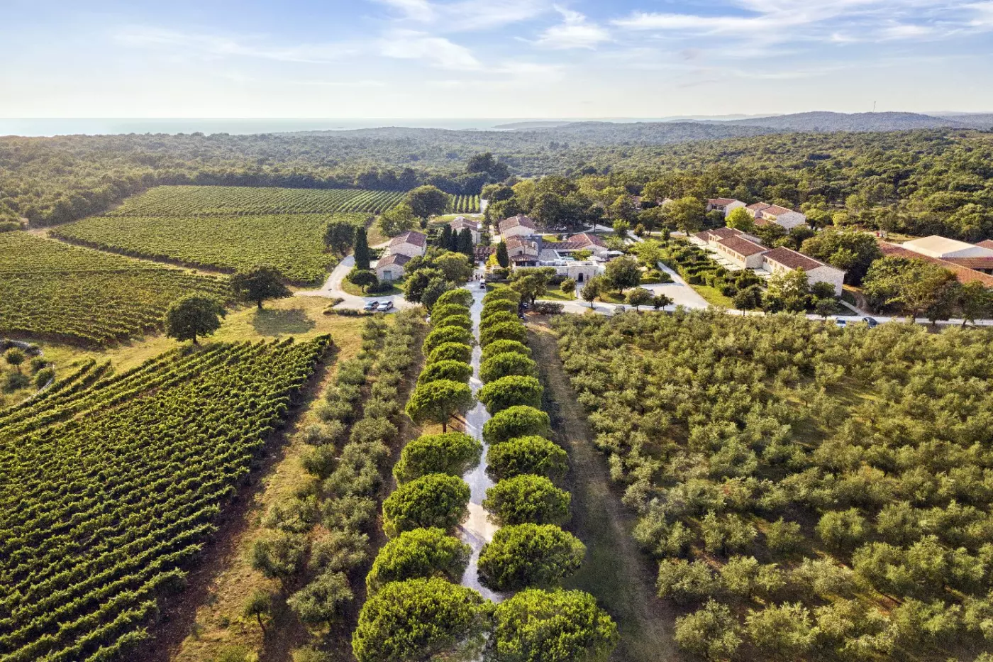 Meneghetti Wine Hotel & Winery
