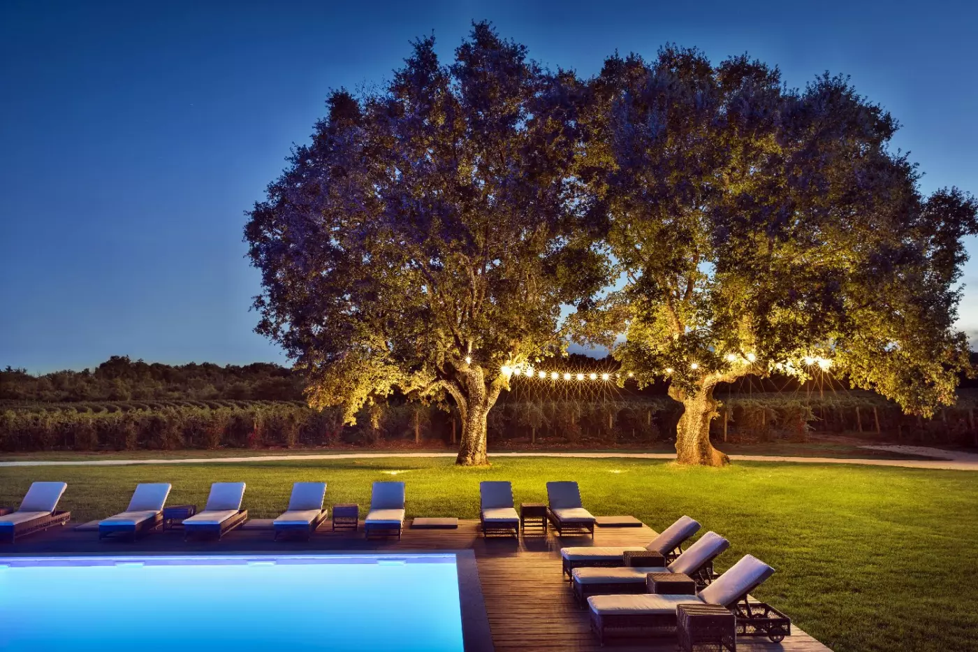 Meneghetti Wine Hotel & Winery